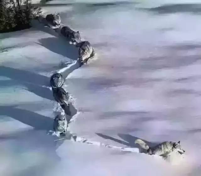 1521249403788202.jpg 微信图片_20180317091602.jpg